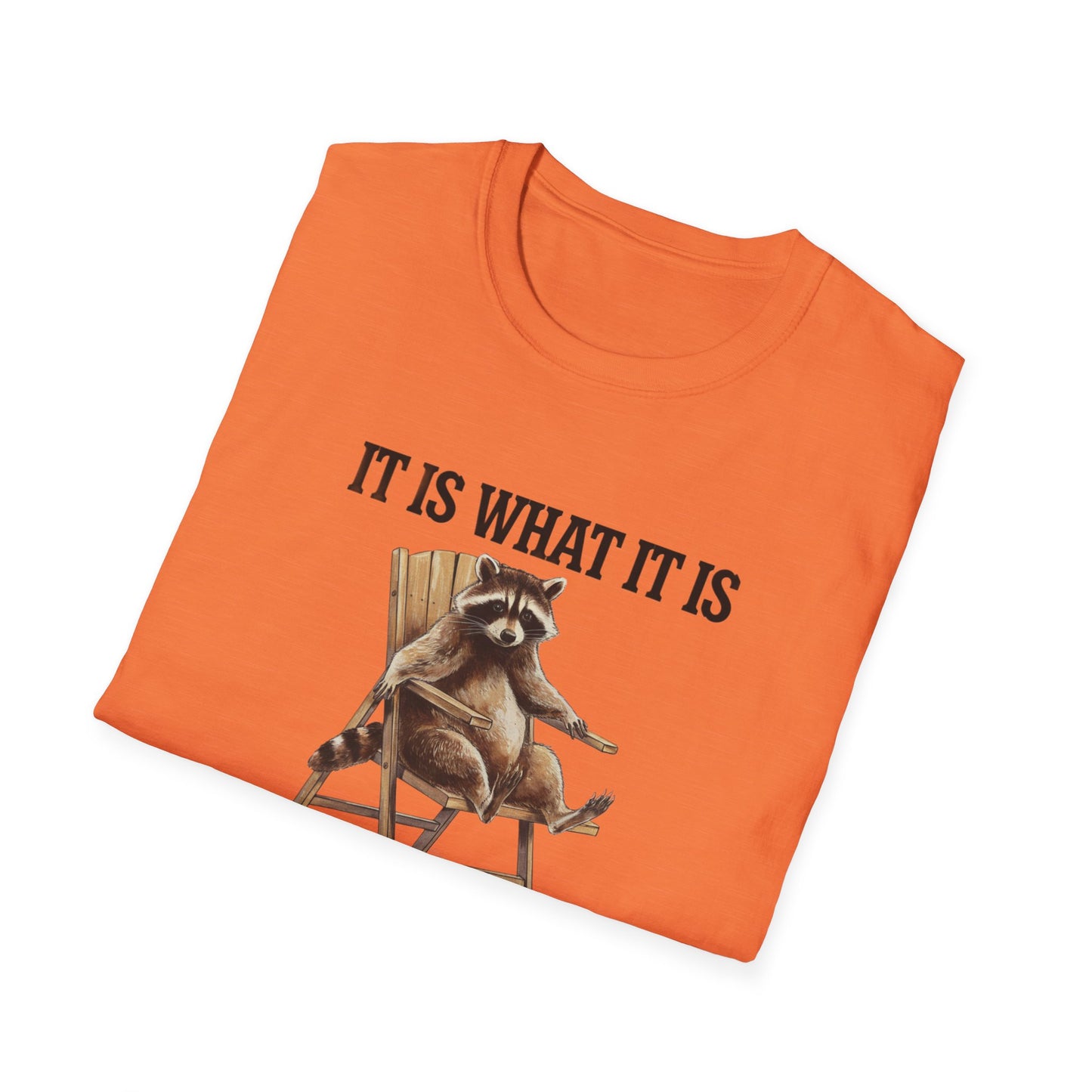 Funny Raccoon T-Shirt, Humorous Unisex Tee, Casual Wear, Gift for Friends, Relaxed Style, Everyday Humor, Animal Lover Shirt