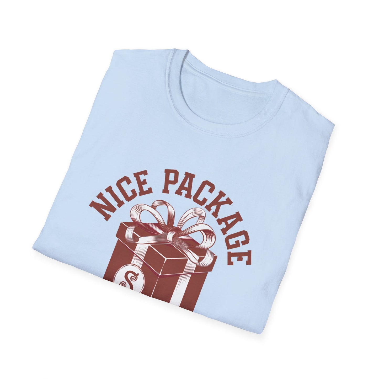 Unisex Nice Package T-Shirt, Gift Tee, Birthday Shirt, Funny Present, Holiday Apparel, Casual Wear, Gift Idea