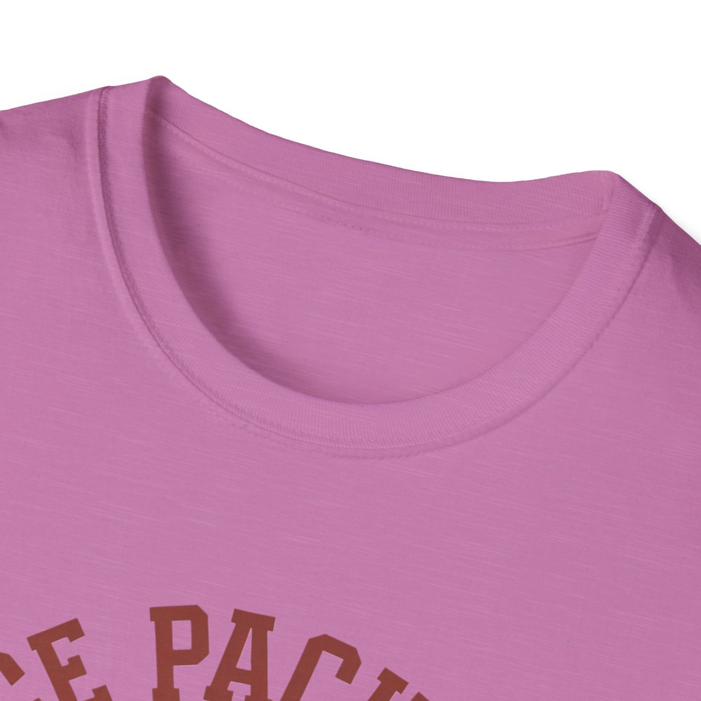 Unisex Nice Package T-Shirt, Gift Tee, Birthday Shirt, Funny Present, Holiday Apparel, Casual Wear, Gift Idea