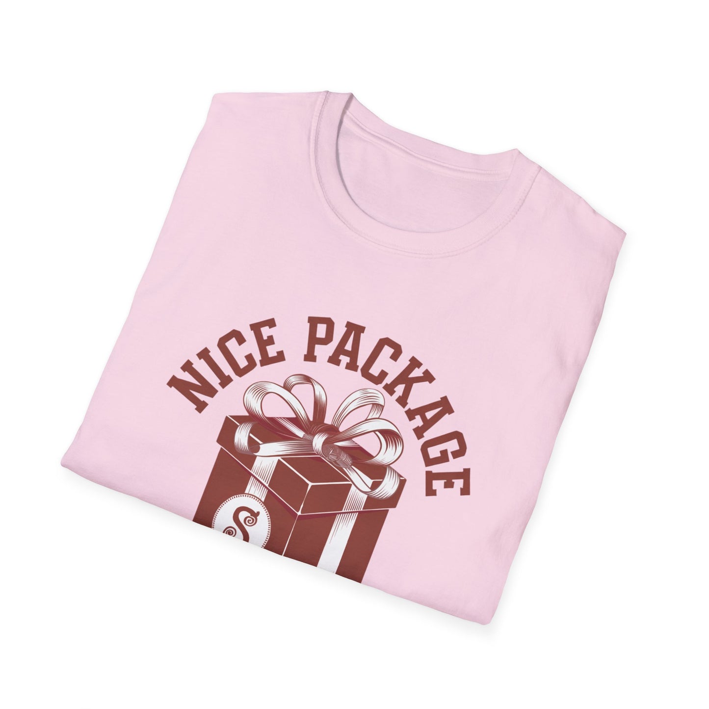 Unisex Nice Package T-Shirt, Gift Tee, Birthday Shirt, Funny Present, Holiday Apparel, Casual Wear, Gift Idea