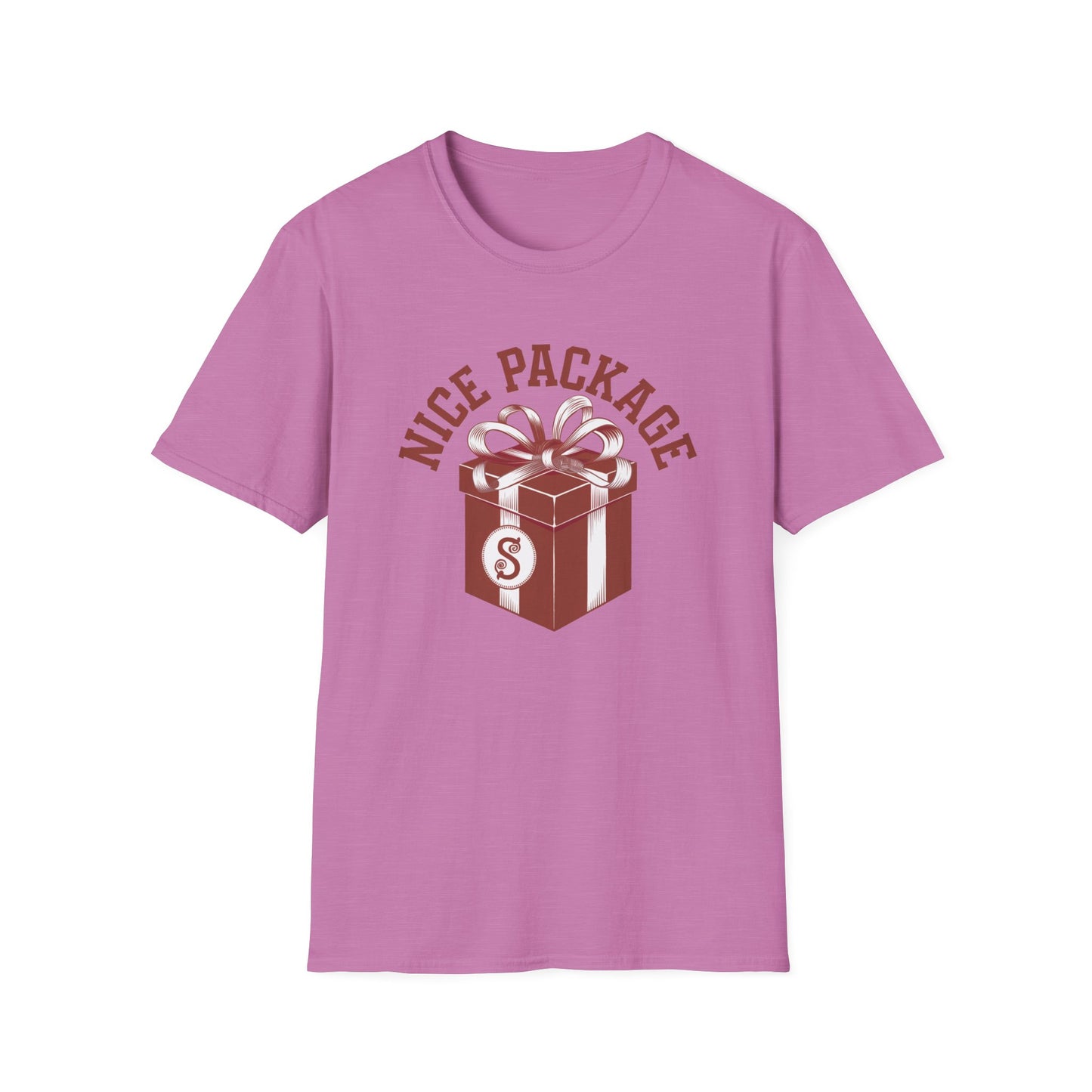 Unisex Nice Package T-Shirt, Gift Tee, Birthday Shirt, Funny Present, Holiday Apparel, Casual Wear, Gift Idea