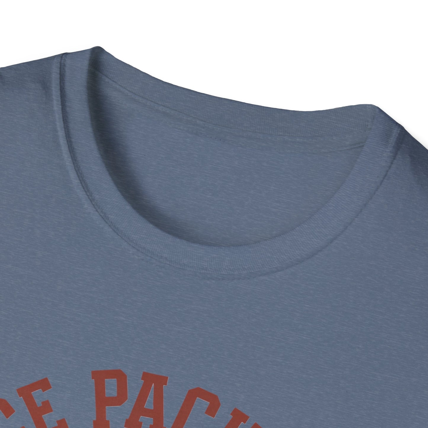 Unisex Nice Package T-Shirt, Gift Tee, Birthday Shirt, Funny Present, Holiday Apparel, Casual Wear, Gift Idea