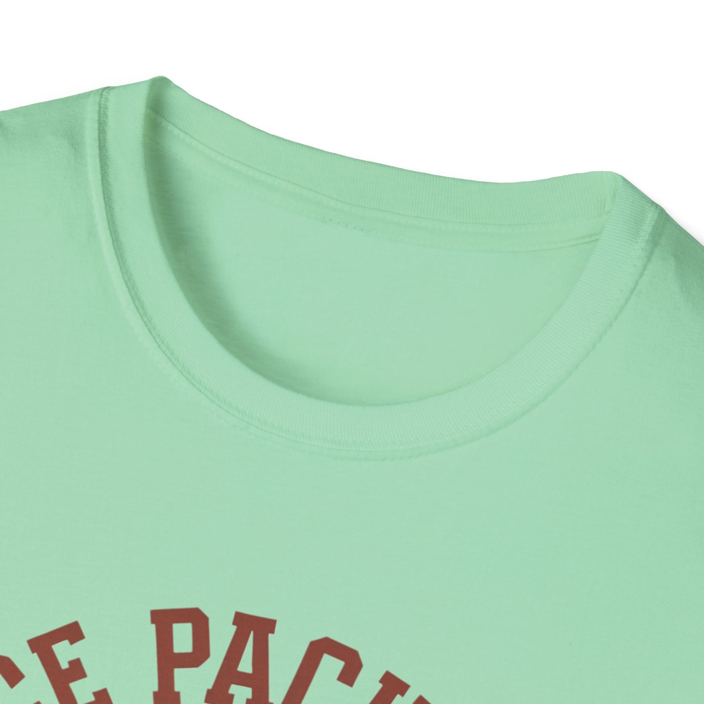 Unisex Nice Package T-Shirt, Gift Tee, Birthday Shirt, Funny Present, Holiday Apparel, Casual Wear, Gift Idea