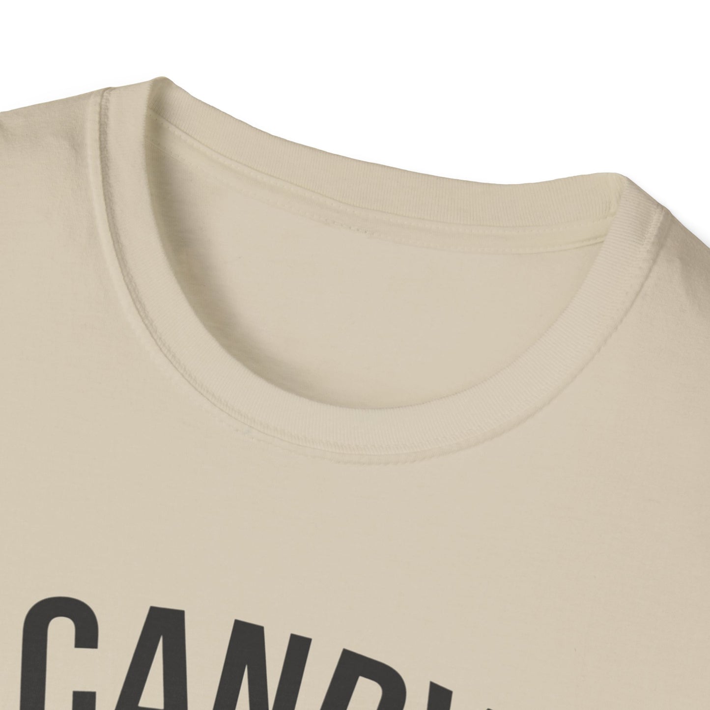 Fun Candy Inspector T-Shirt for Halloween, Unisex Graphic Tee, Sweet Tooth Apparel, Perfect for Fall Celebrations, Trick or Treat