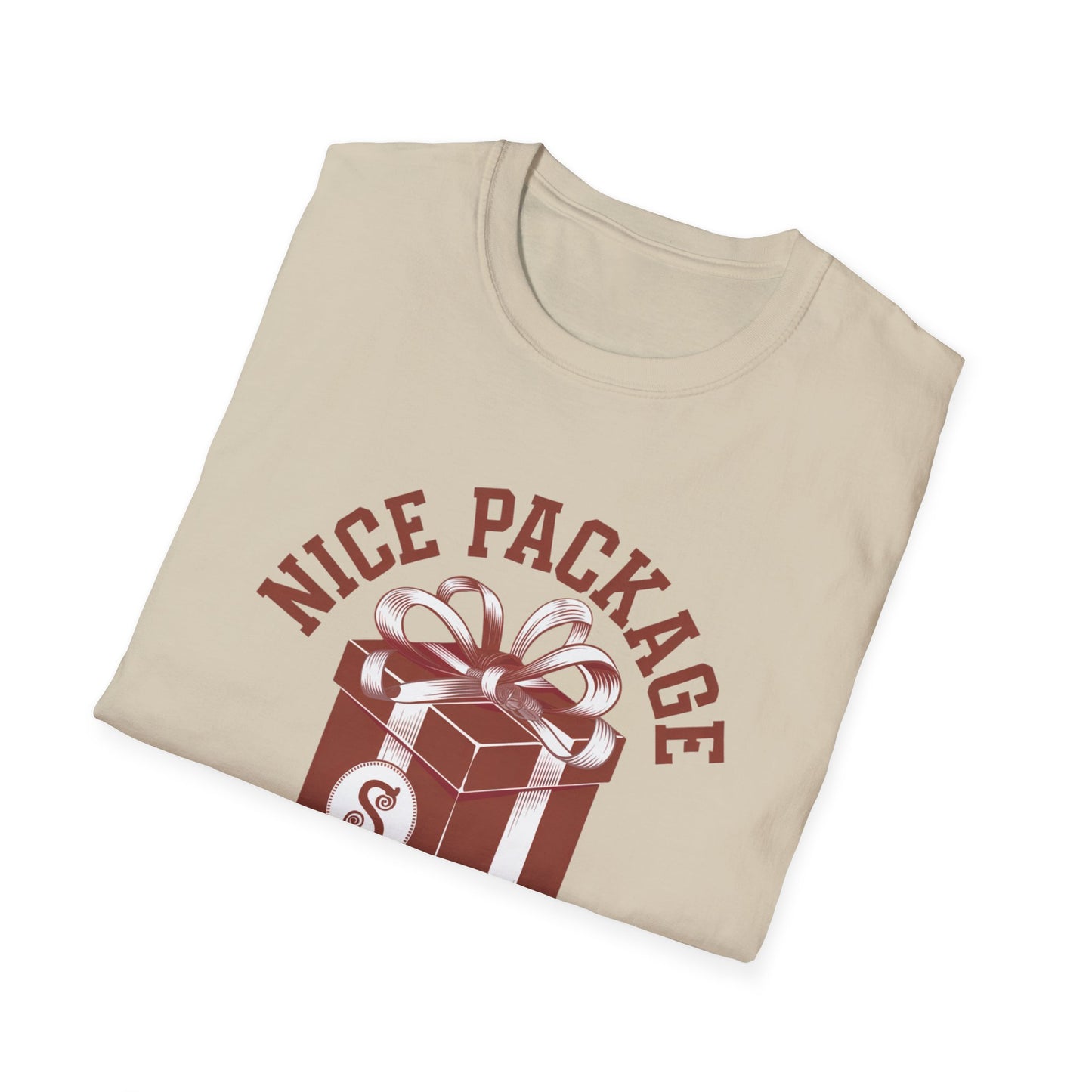 Unisex Nice Package T-Shirt, Gift Tee, Birthday Shirt, Funny Present, Holiday Apparel, Casual Wear, Gift Idea