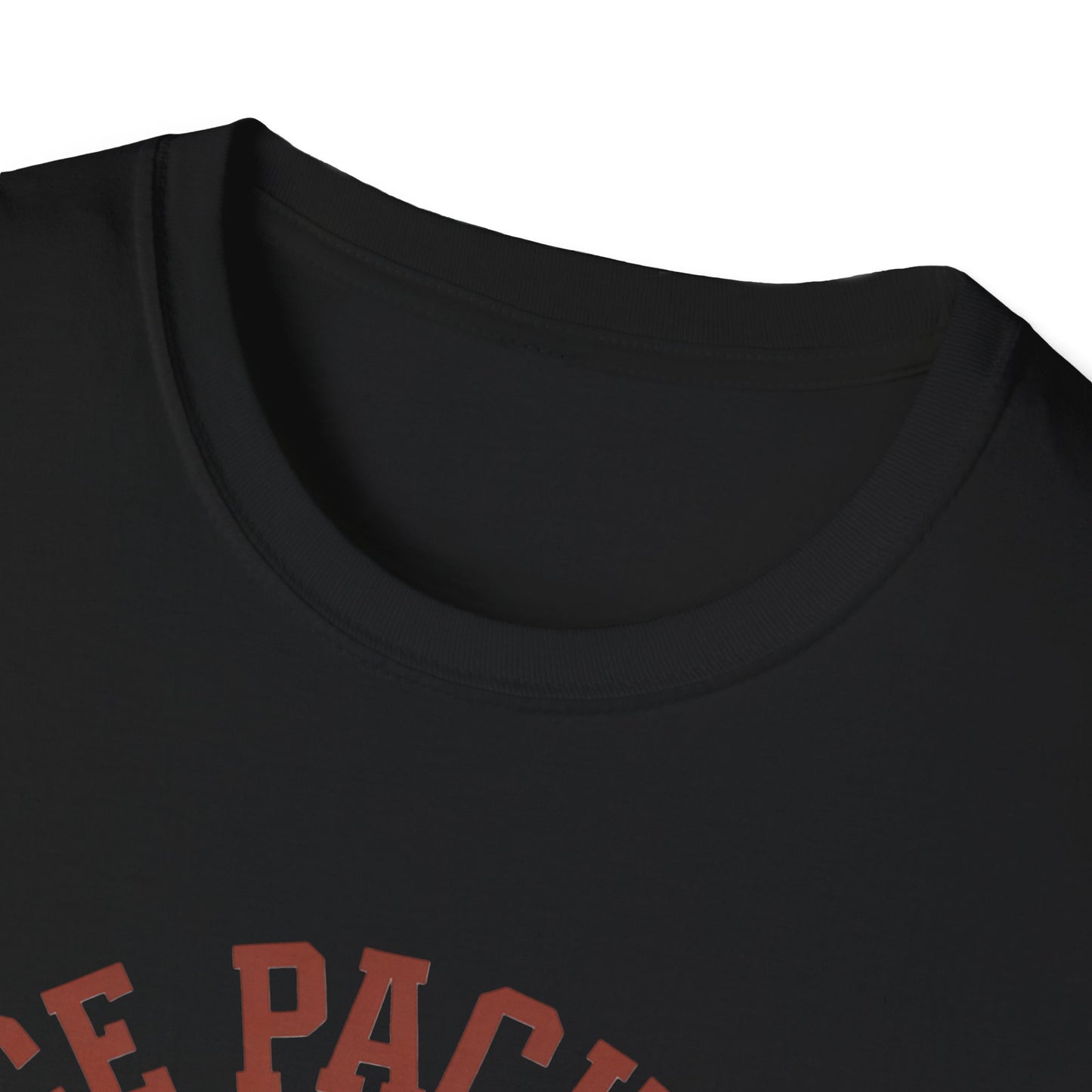 Unisex Nice Package T-Shirt, Gift Tee, Birthday Shirt, Funny Present, Holiday Apparel, Casual Wear, Gift Idea