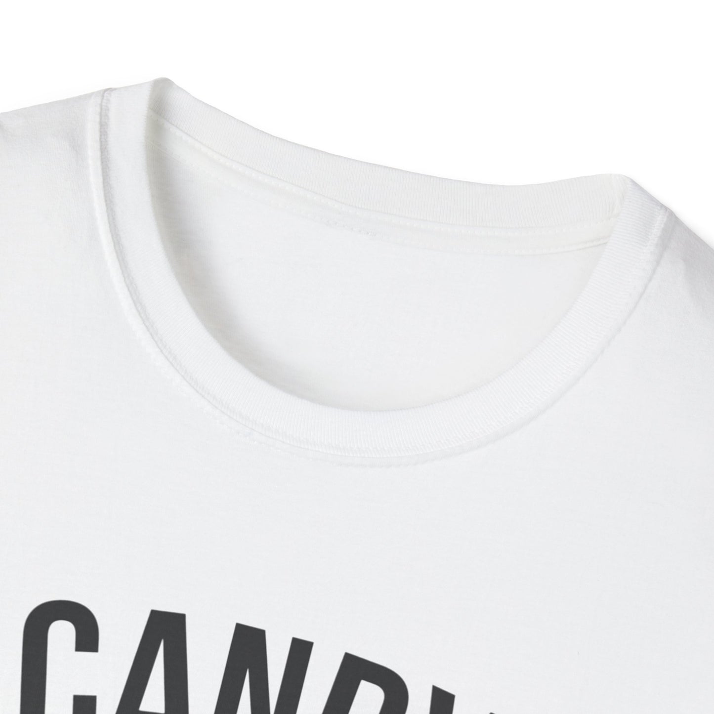 Fun Candy Inspector T-Shirt for Halloween, Unisex Graphic Tee, Sweet Tooth Apparel, Perfect for Fall Celebrations, Trick or Treat