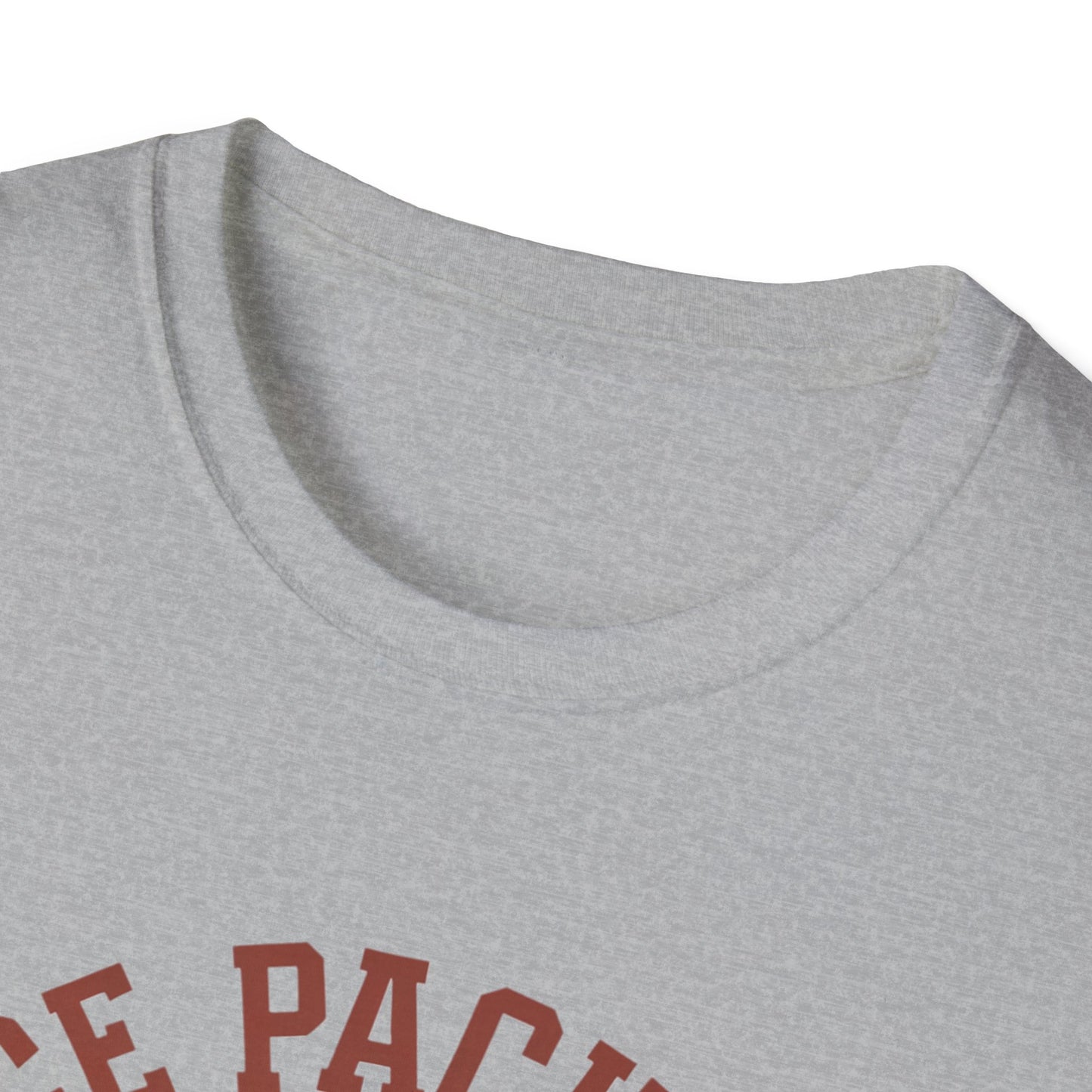 Unisex Nice Package T-Shirt, Gift Tee, Birthday Shirt, Funny Present, Holiday Apparel, Casual Wear, Gift Idea
