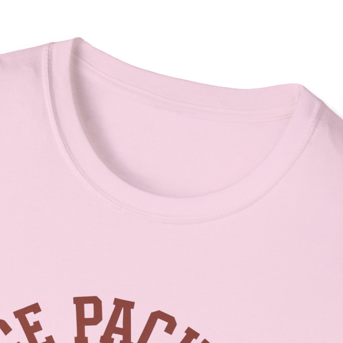 Unisex Nice Package T-Shirt, Gift Tee, Birthday Shirt, Funny Present, Holiday Apparel, Casual Wear, Gift Idea