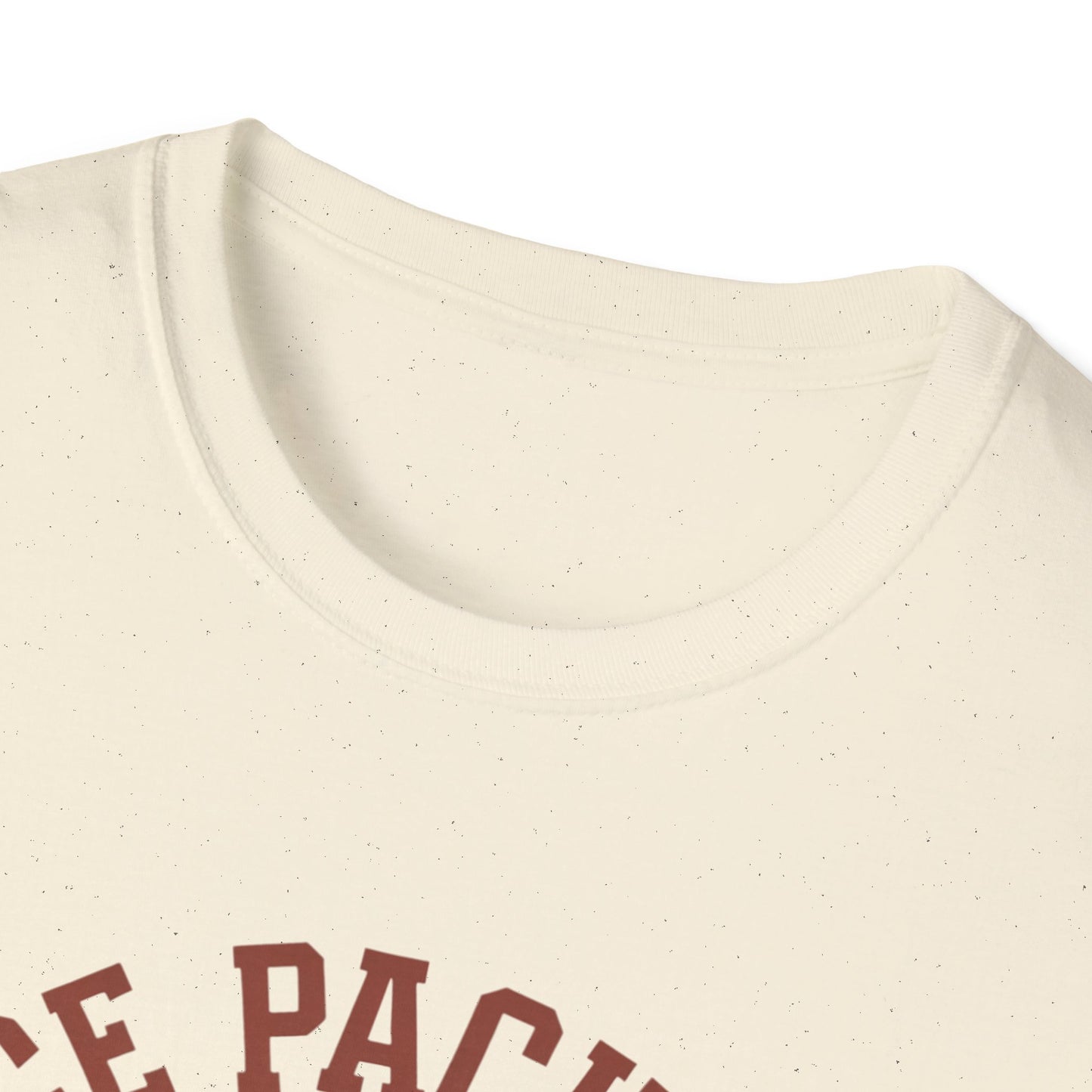 Unisex Nice Package T-Shirt, Gift Tee, Birthday Shirt, Funny Present, Holiday Apparel, Casual Wear, Gift Idea