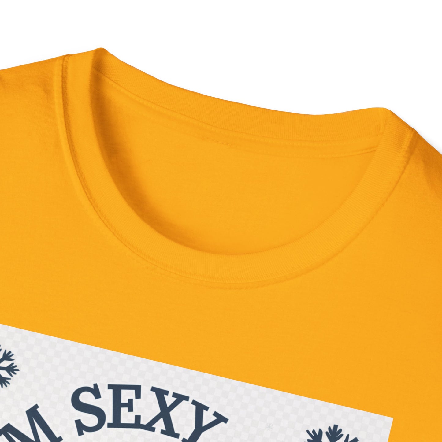 Funny Winter T-Shirt, I'm Sexy and I Snow It Tee, Holiday Gift, Xmas Apparel, Winter Humor Shirt, Unisex Snowman Tee