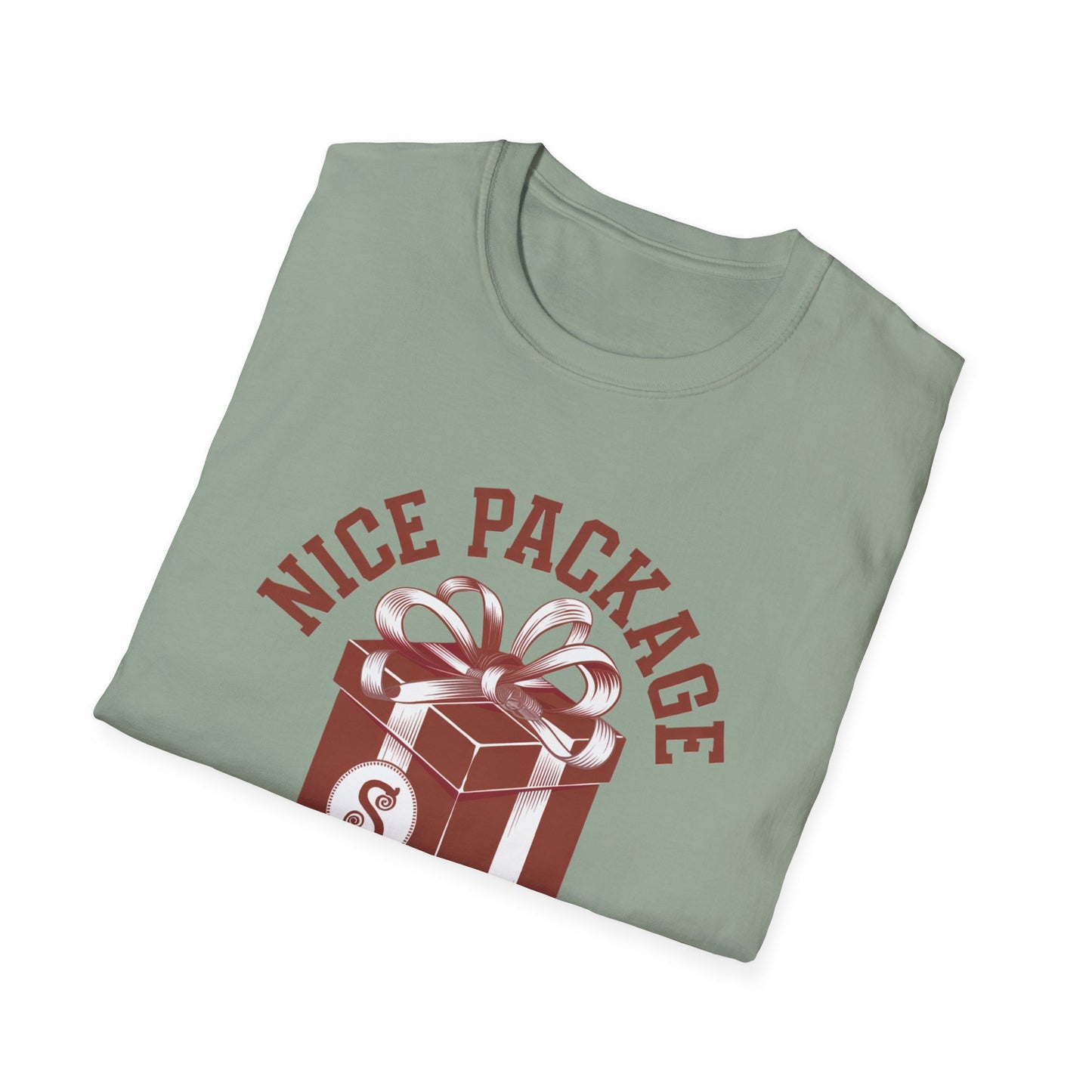 Unisex Nice Package T-Shirt, Gift Tee, Birthday Shirt, Funny Present, Holiday Apparel, Casual Wear, Gift Idea