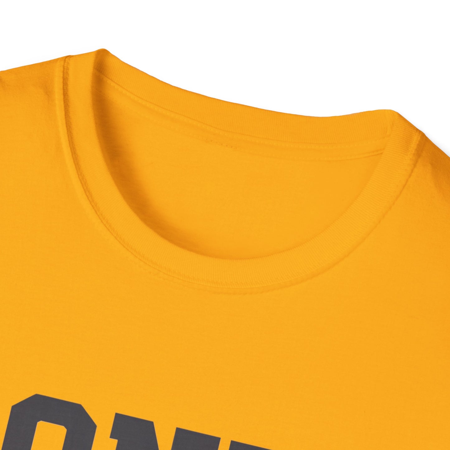 Motivational Fitness T-Shirt - 'One More Set' Unisex Softstyle Tee