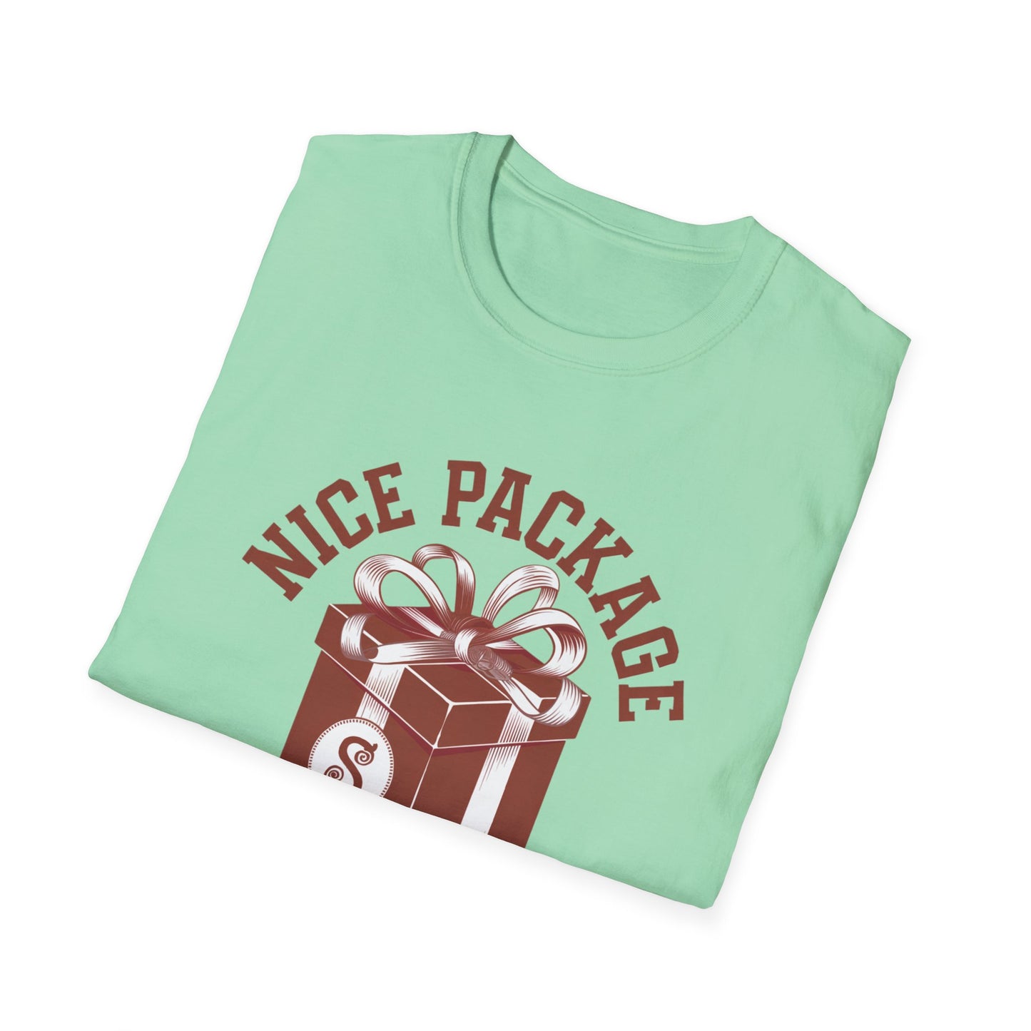 Unisex Nice Package T-Shirt, Gift Tee, Birthday Shirt, Funny Present, Holiday Apparel, Casual Wear, Gift Idea