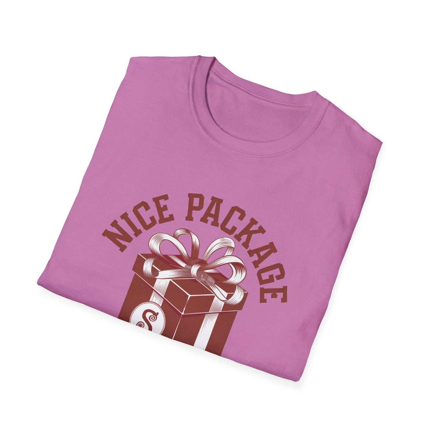Unisex Nice Package T-Shirt, Gift Tee, Birthday Shirt, Funny Present, Holiday Apparel, Casual Wear, Gift Idea