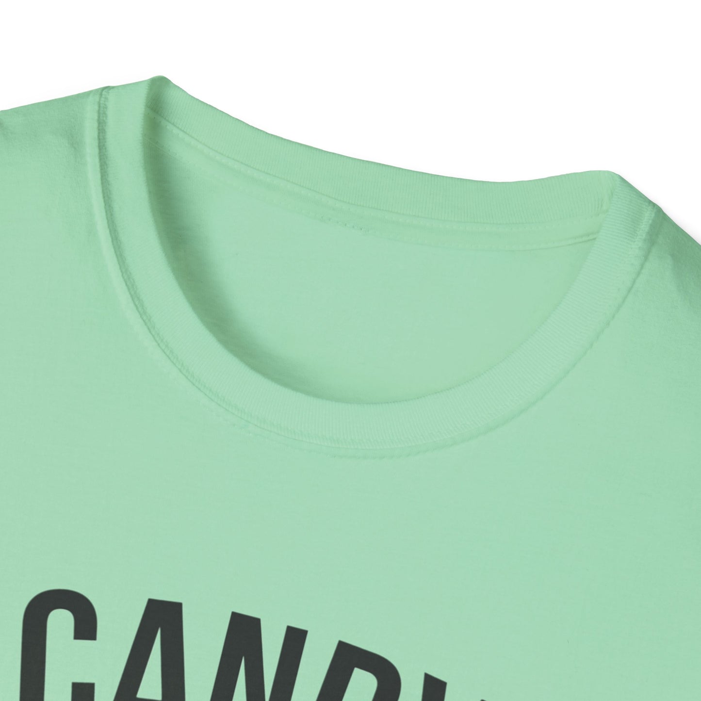 Fun Candy Inspector T-Shirt for Halloween, Unisex Graphic Tee, Sweet Tooth Apparel, Perfect for Fall Celebrations, Trick or Treat