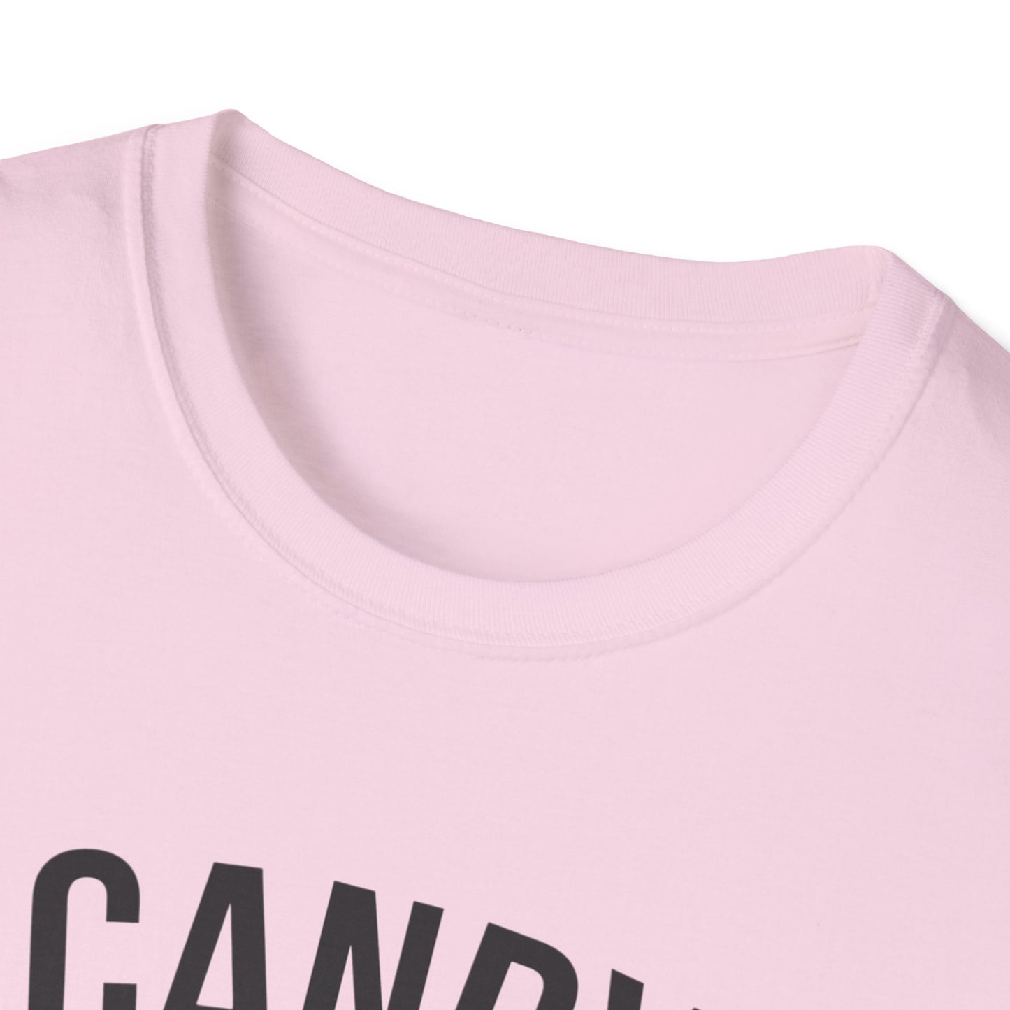 Fun Candy Inspector T-Shirt for Halloween, Unisex Graphic Tee, Sweet Tooth Apparel, Perfect for Fall Celebrations, Trick or Treat