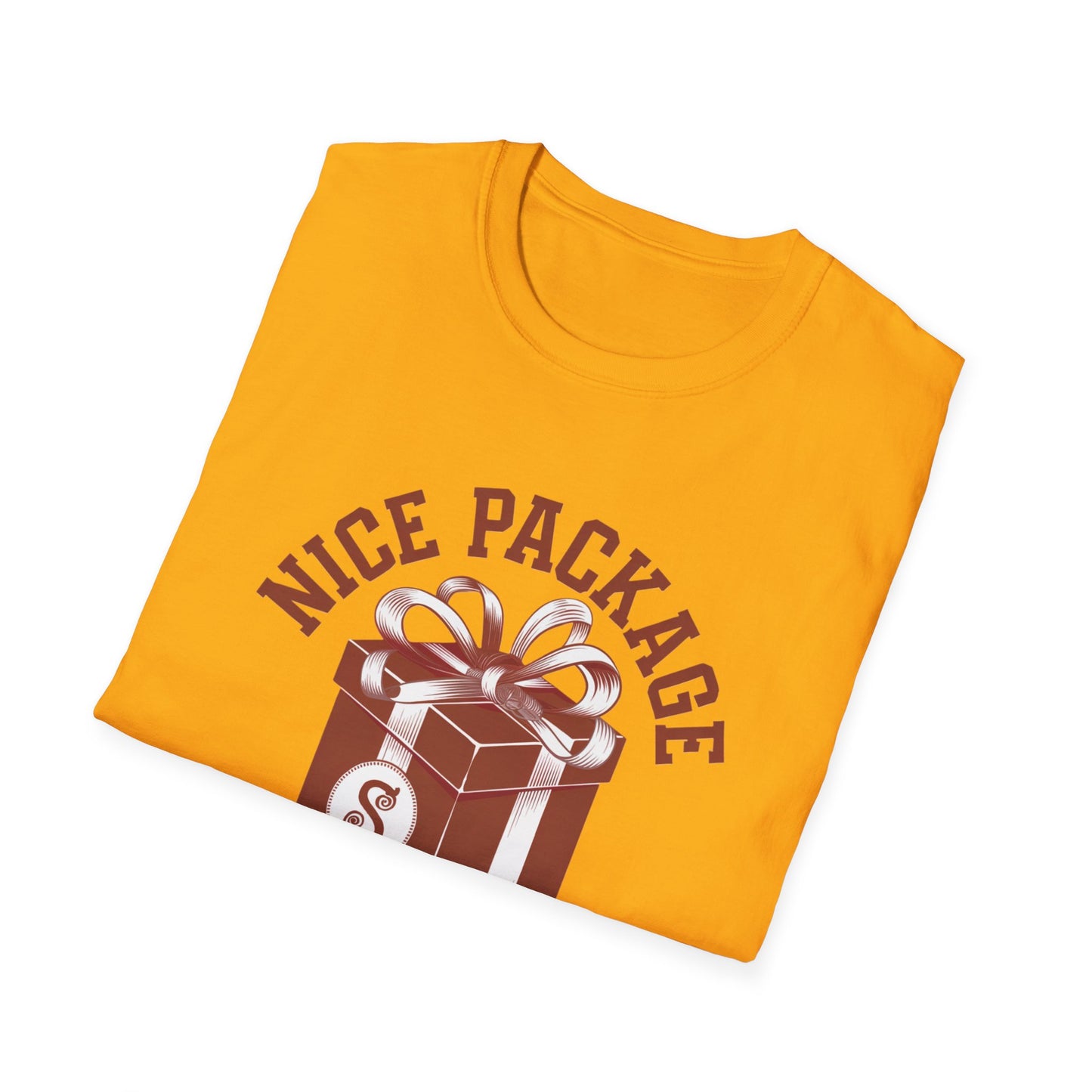 Unisex Nice Package T-Shirt, Gift Tee, Birthday Shirt, Funny Present, Holiday Apparel, Casual Wear, Gift Idea