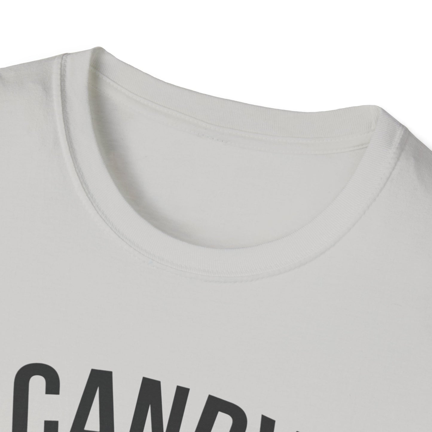 Fun Candy Inspector T-Shirt for Halloween, Unisex Graphic Tee, Sweet Tooth Apparel, Perfect for Fall Celebrations, Trick or Treat