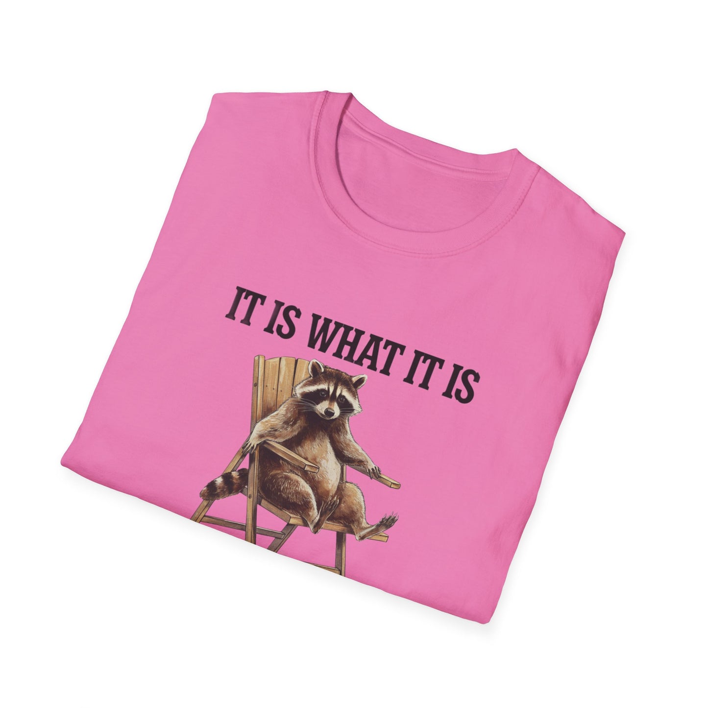 Funny Raccoon T-Shirt, Humorous Unisex Tee, Casual Wear, Gift for Friends, Relaxed Style, Everyday Humor, Animal Lover Shirt