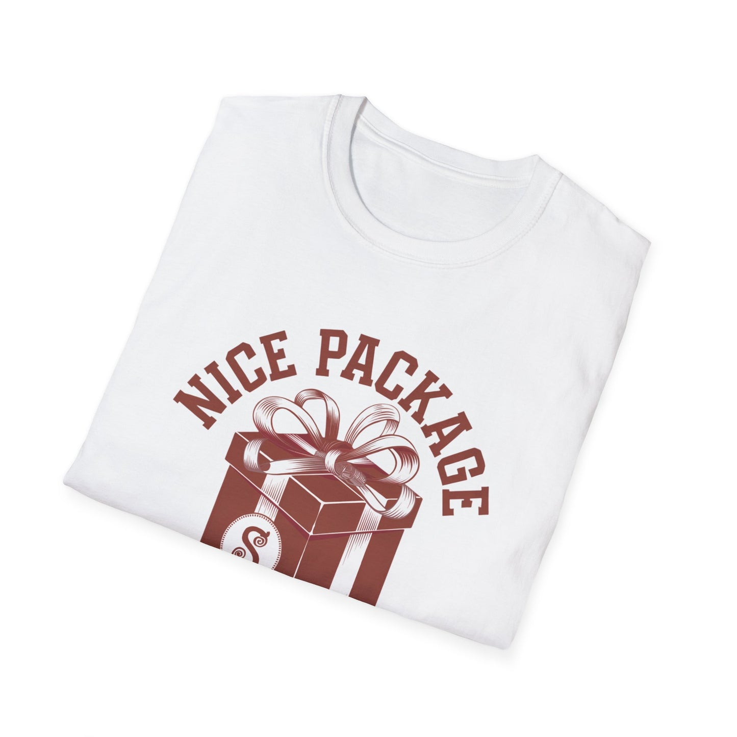 Unisex Nice Package T-Shirt, Gift Tee, Birthday Shirt, Funny Present, Holiday Apparel, Casual Wear, Gift Idea