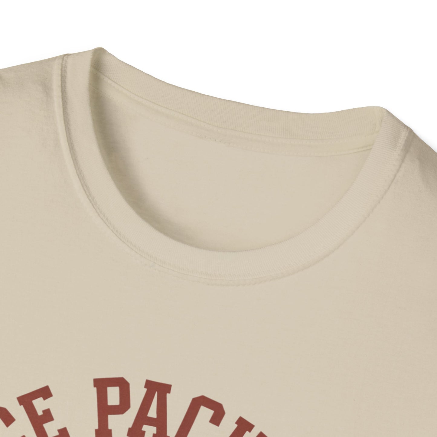 Unisex Nice Package T-Shirt, Gift Tee, Birthday Shirt, Funny Present, Holiday Apparel, Casual Wear, Gift Idea