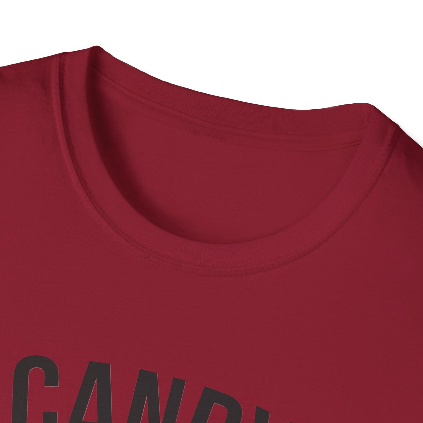 Fun Candy Inspector T-Shirt for Halloween, Unisex Graphic Tee, Sweet Tooth Apparel, Perfect for Fall Celebrations, Trick or Treat