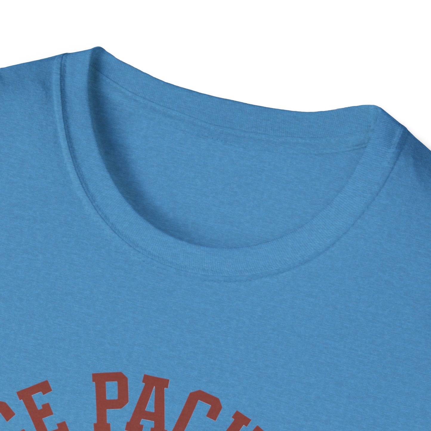 Unisex Nice Package T-Shirt, Gift Tee, Birthday Shirt, Funny Present, Holiday Apparel, Casual Wear, Gift Idea