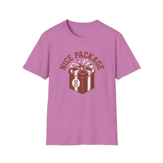 Unisex Nice Package T-Shirt, Gift Tee, Birthday Shirt, Funny Present, Holiday Apparel, Casual Wear, Gift Idea