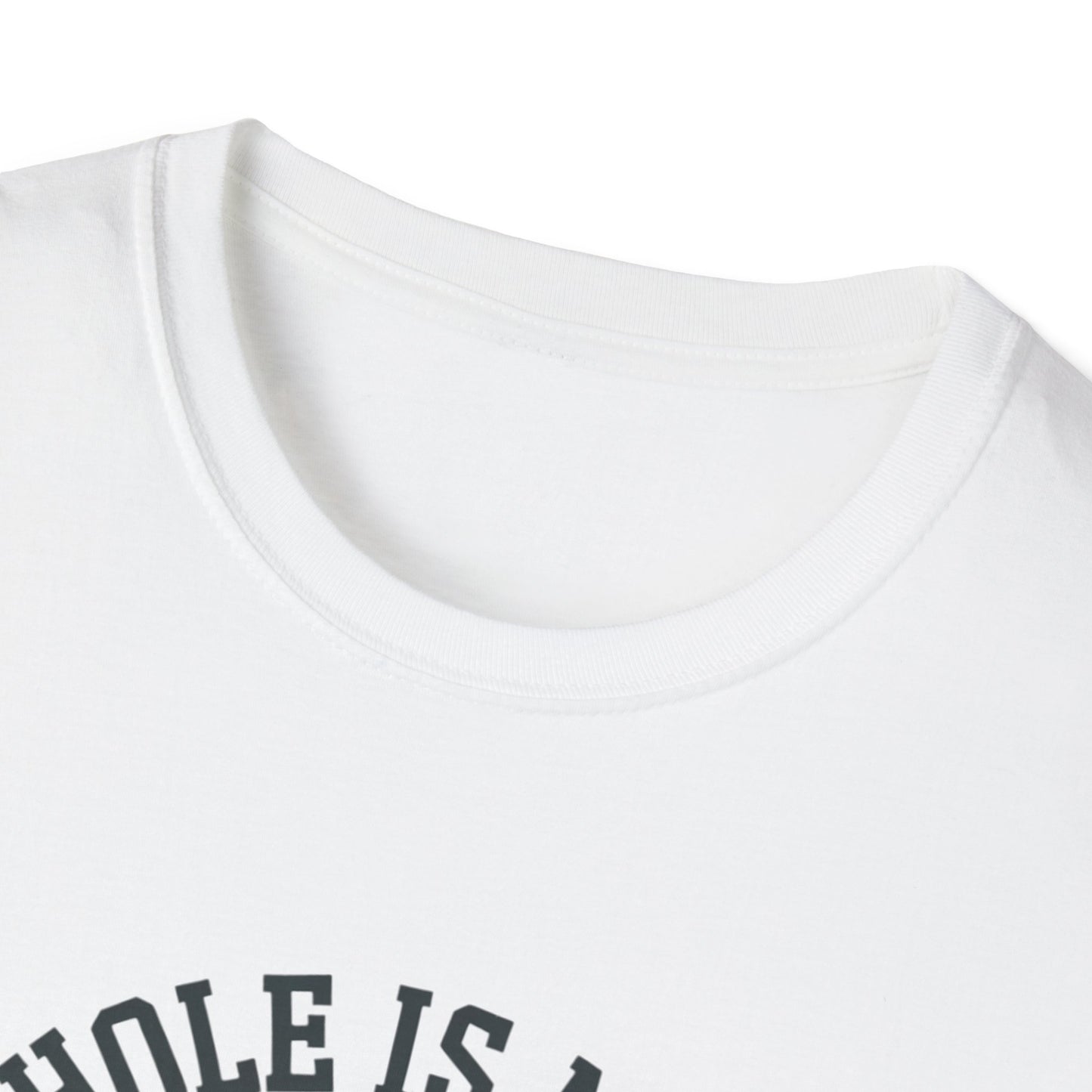 Golf Humor Unisex Softstyle T-Shirt - 'Your Hole is My Goal!'